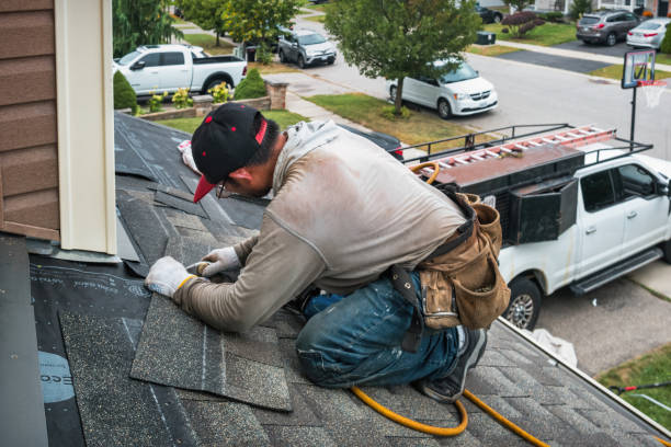 Professional Storm Damage Roof Repair technician working in La Grange, KY